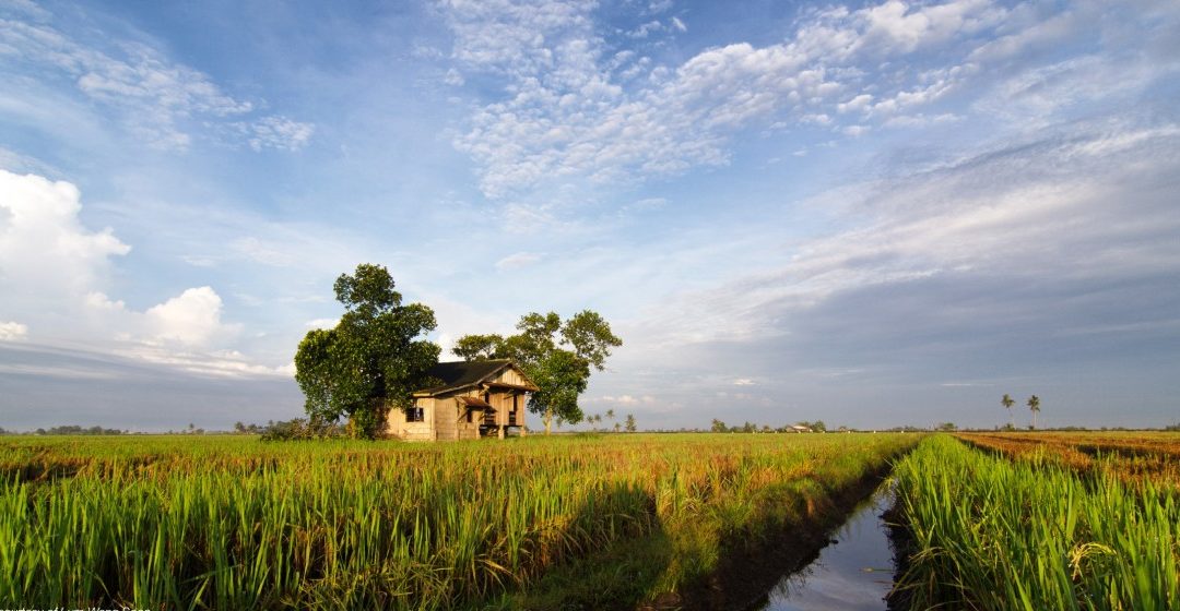 Parcel of the Abundant Arable