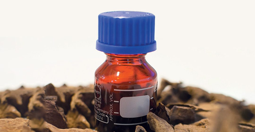 The Fragrance Of Success