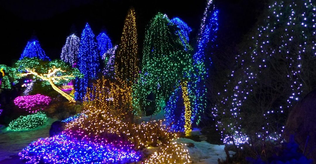 Lighting Festival at the Garden of Morning Calm