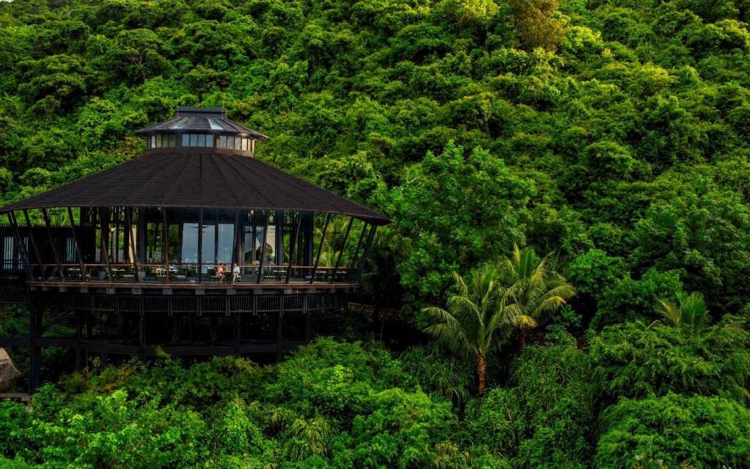 Tingara Raises Japanese Gastronomy to the Stars at InterContinental Danang