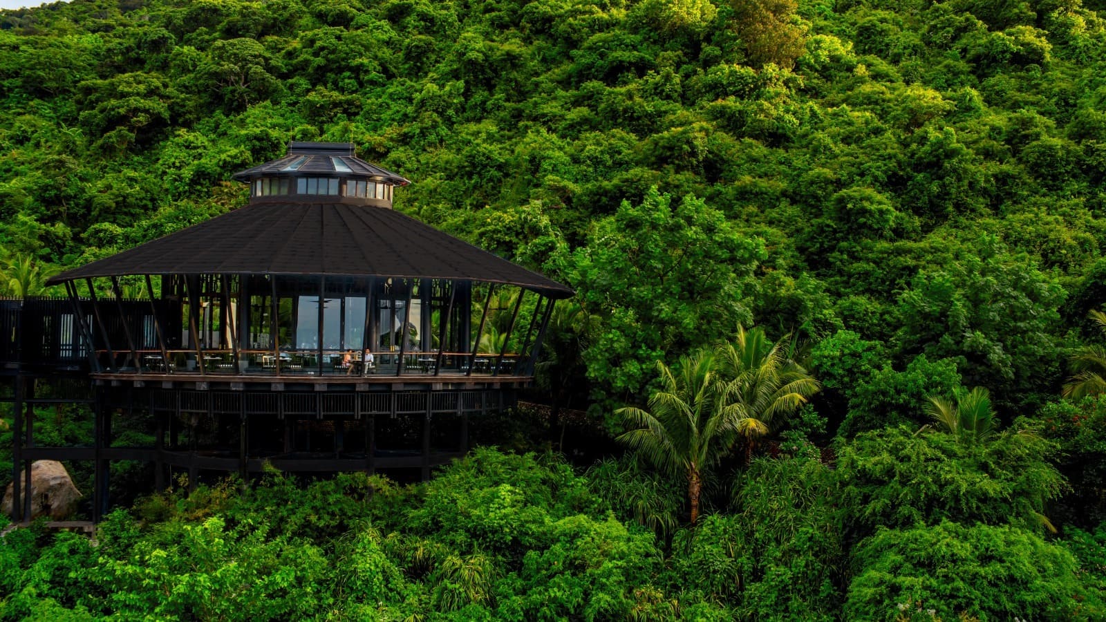 Tingara is perched in the forest canopy with 360-degree views
