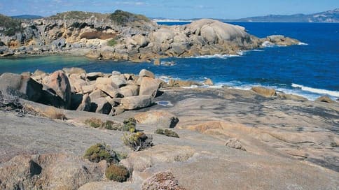 Picture10 Shell Beah, Beales