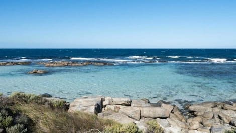 Picture9 Shell Beah, Beales