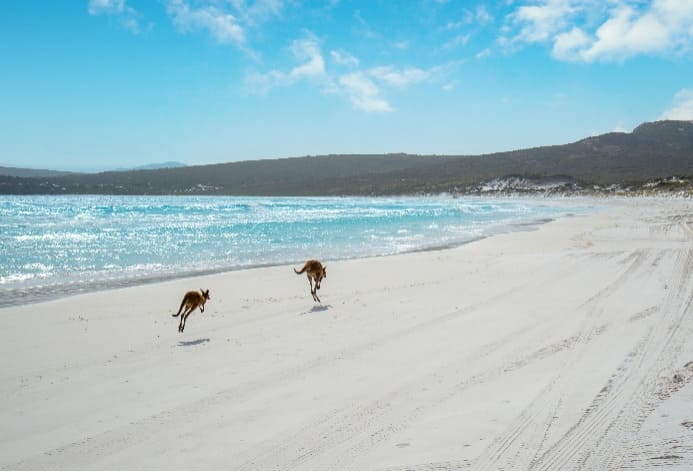 Malaysia to Western Australia: Your Ticket to Once-in-a-Lifetime Wildlife Encounters