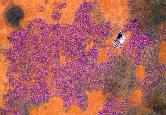 Wildflowers, Wildlife & Wonders: The Ultimate Western Australia Outback Experience