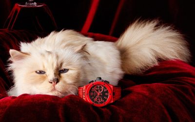 The World’s Most Famous and Pampered Feline Choupette Stars in Hublot’s Big Bang 20th Anniversary Campaign