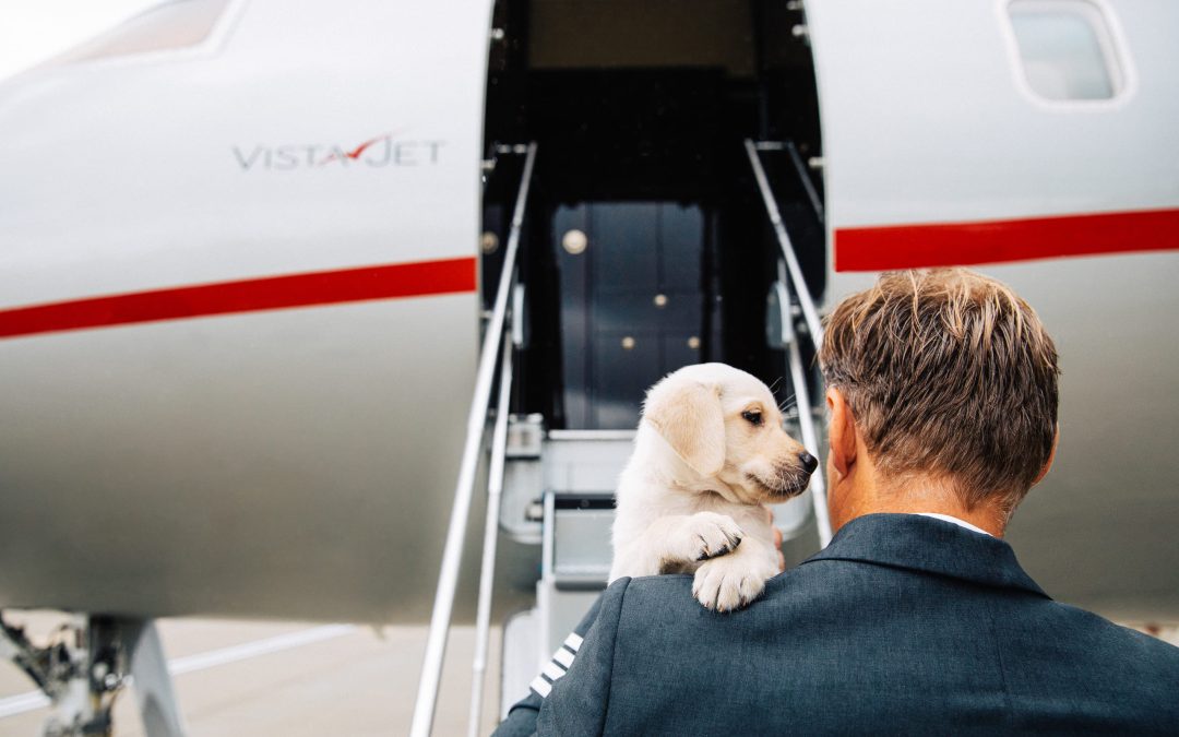 Unleashing Adventure: VistaJet Reports Rising Demand in Pet Travel and Reveals the Must-Visit Destinations for this Summer