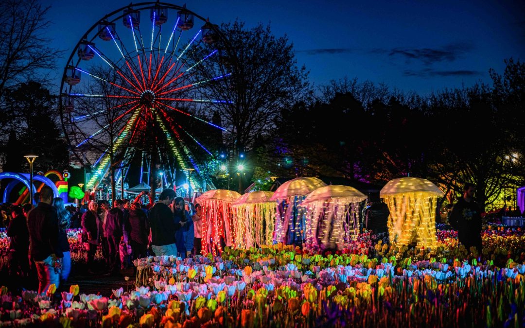 Floriade 2025 Transforms Canberra with One Million Blooms and After-Dark Magic