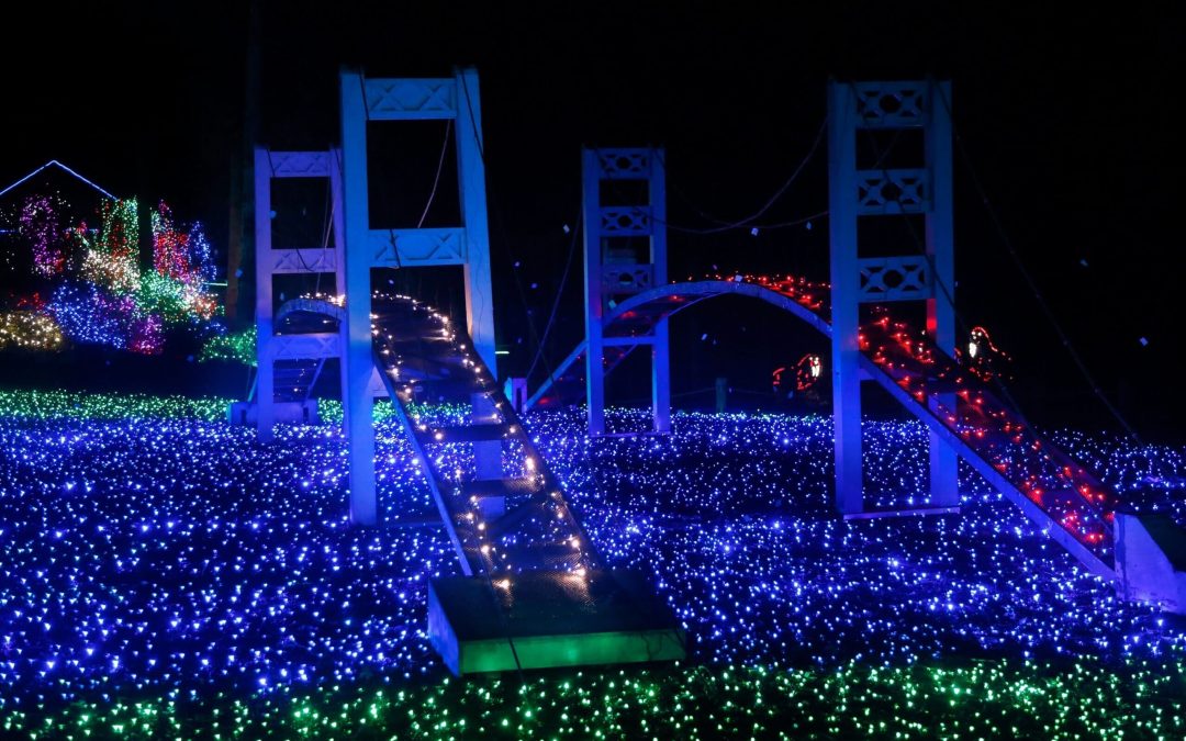 Discover Holiday Magic in Pierce County’s Festive Cities