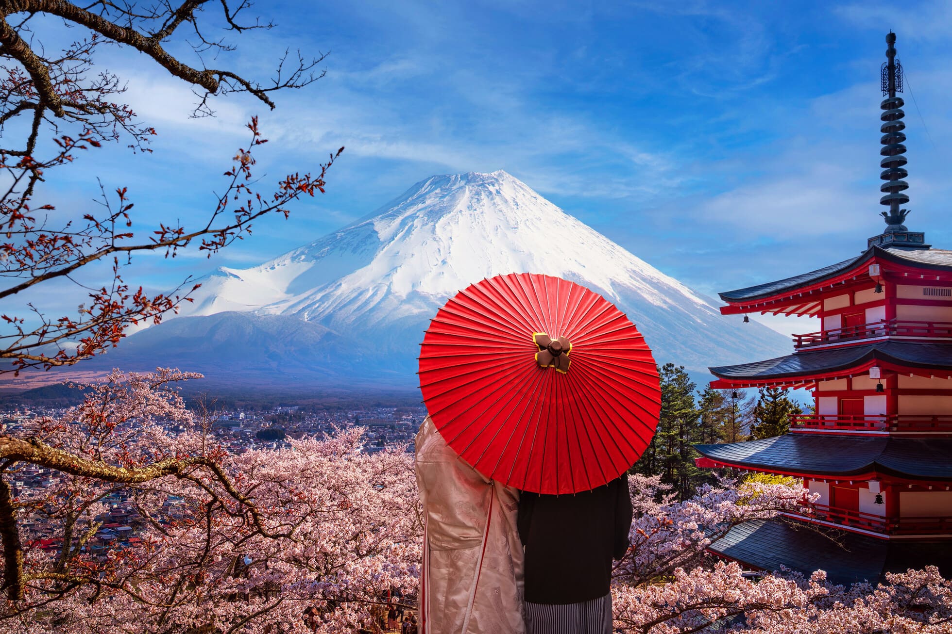 Princess Cruises Unveils Largest-Ever Japan 2028 Summer Season 
